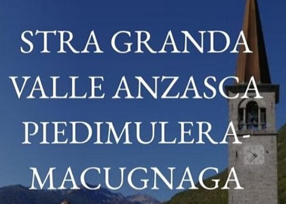 Immagine non trovata