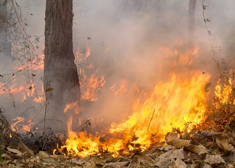 Regione Abruzzo protocollo nr. 258719/2026 del 24/06/2026 - LEGGE 21 NOVEMBRE 2000, N. 353 LEGGE QUA DRO IN MATERIA DI INCENDI BOSCHIVI E L.R. 4 GENNAIO 2014, N. 3.  "STATO DI GRAVE PERICOLOSITÀ PER GLI INCENDI BOSCHIVI" ANNO 2026