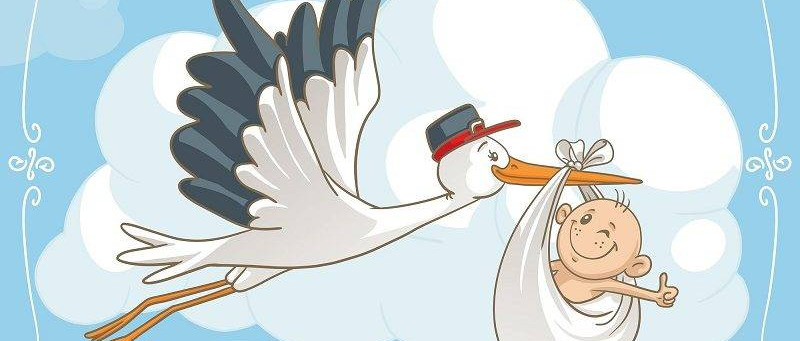Immagine principale