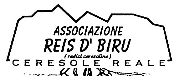 Immagine non trovata