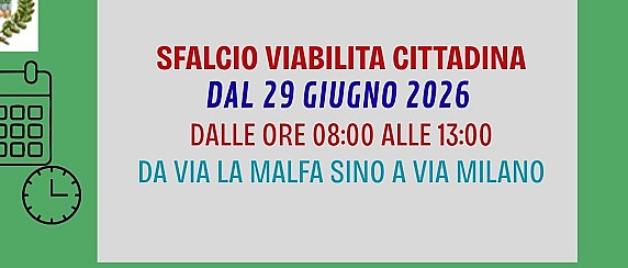 SFALCIO VIABILITA' CITTADINA