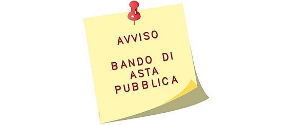 Avviso d’asta pubblica per la vendita dell’immobile destinato a strada comunale "Via di Mezzo" in località Costeggiola – Scadenza 13 luglio 2026, ore 12:30