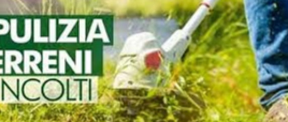 Ordinanza n 29 del 27.06.2026- Manutenzione  dei terreni ed aree verdi