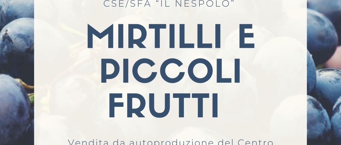 Immagine principale