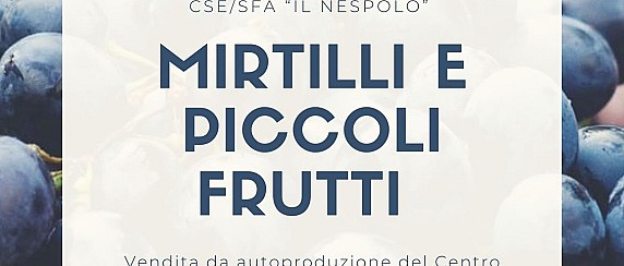 CSE Il Nespolo - Faloppio - Consorzio Servizi Sociali dell'Olgiatese