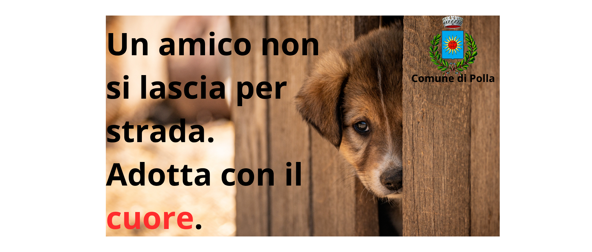 Immagine principale