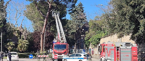 Albero pericolante di Via Roma rimosso