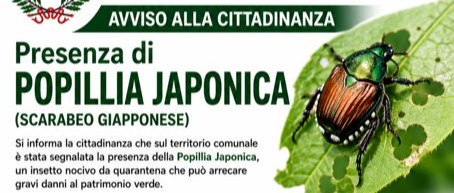 Immagine principale