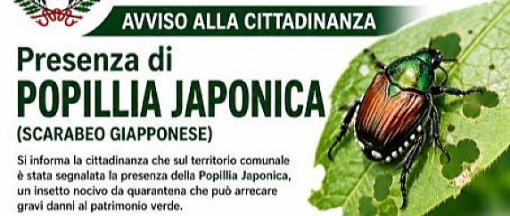 Servizio di disinfestazione Popilia Japonica