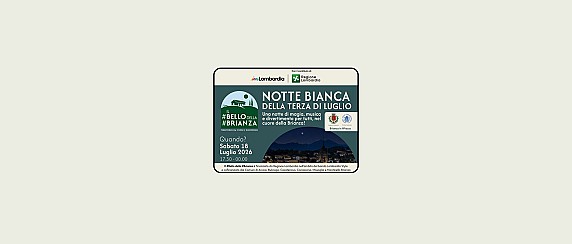 Notte bianca della terza di luglio - Spettacoli e attrazioni
