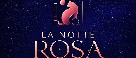 Immagine non trovata
