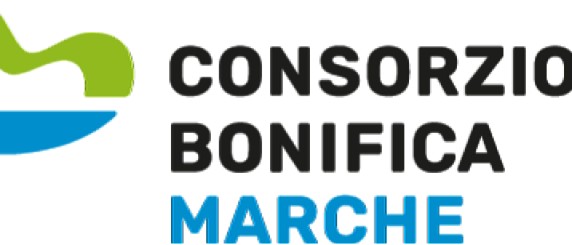 Consorzio Bonifica - Conferimento di incarichi di collaudo statico e/o tecnico-amministrativo. Annualità 2026-2027-2028