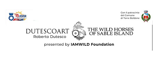 TORRE FOTO CLUB - SERATA FOTOGRAFICA "THE WILD HORSES OF SABLE ISLAND" E WORKSHOP CON L'AUTORE