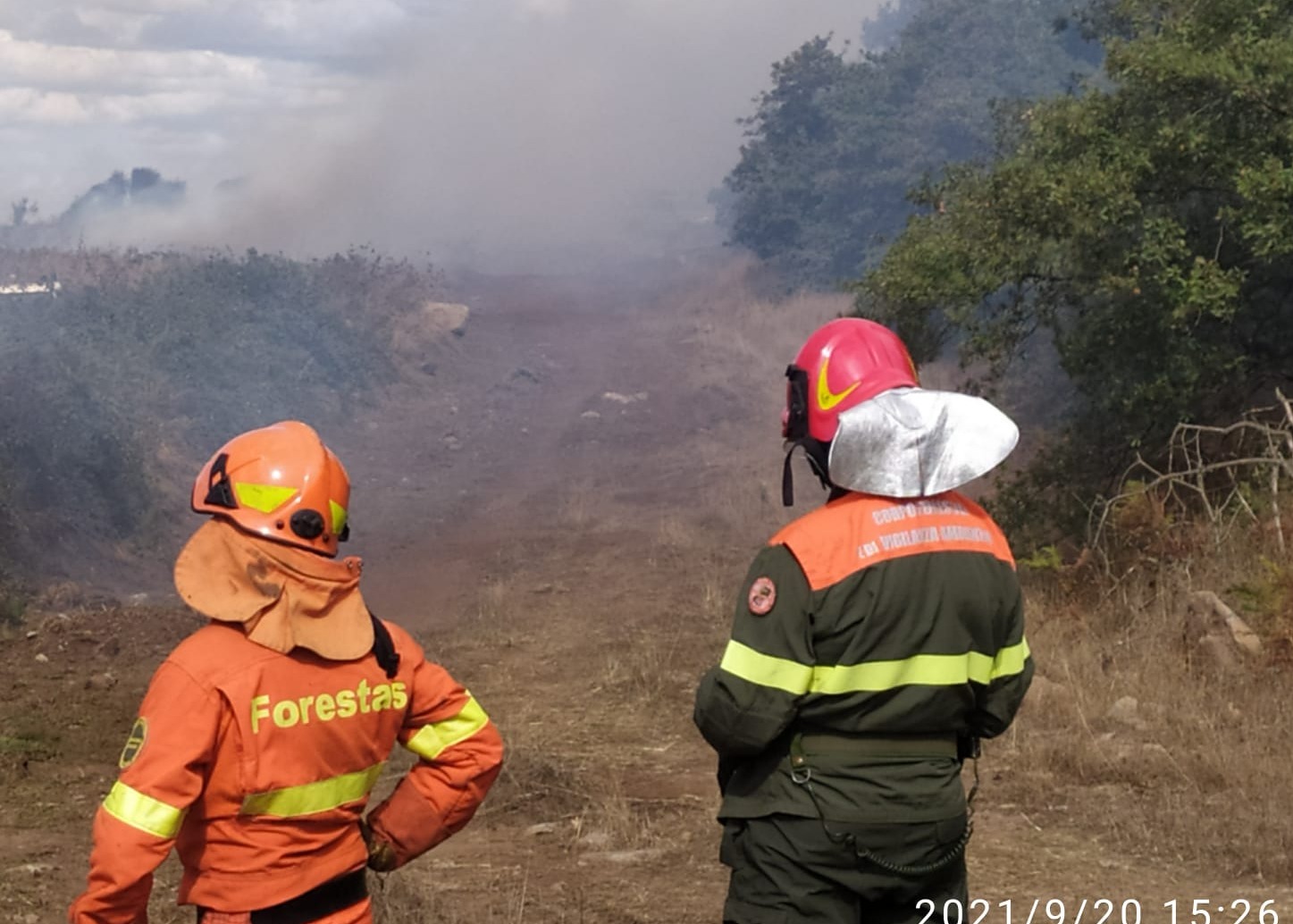 BOLLETTINO DI PREVISIONE DI PERICOLO INCENDIO N. 69 PER MERCOLEDI' 08/07/2026 AVVISO CONDIZIONI METEO AVVERSE PER ALTE TEMPERATURE