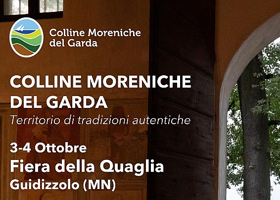 Immagine non trovata