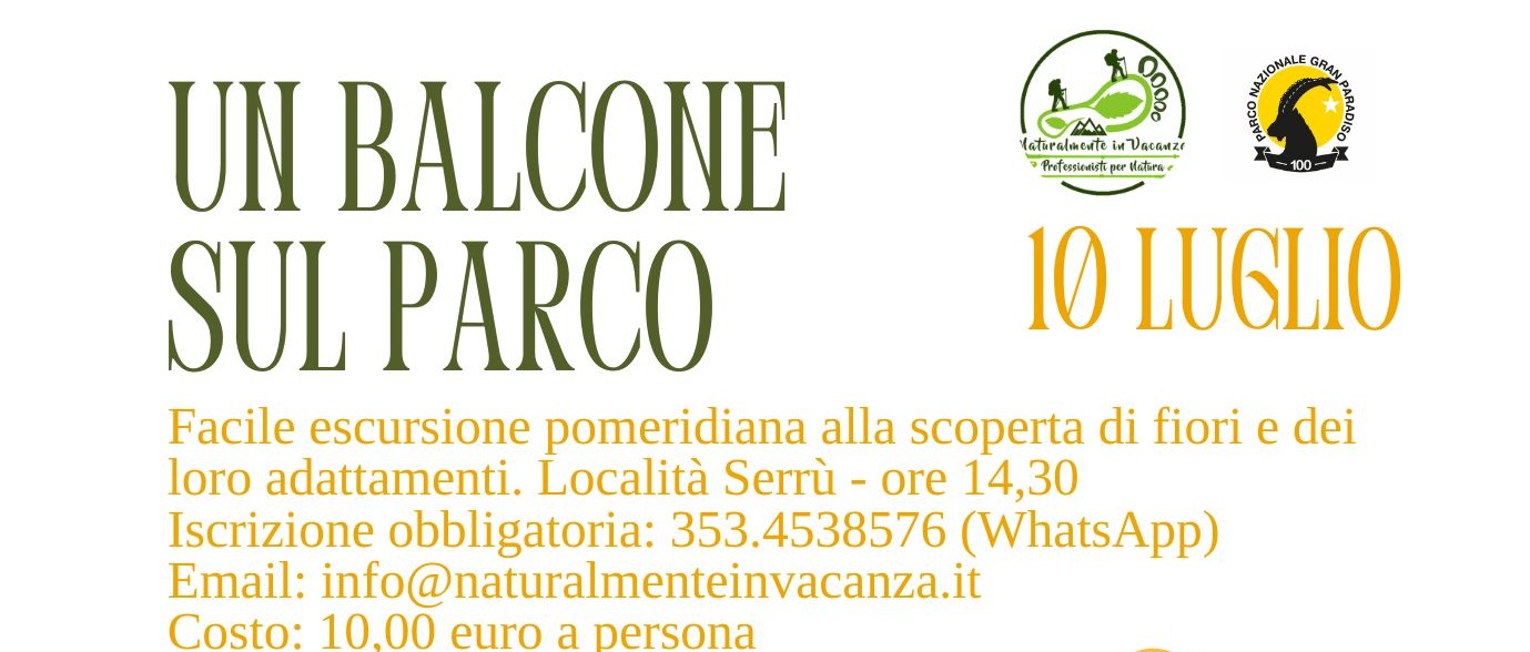 Immagine principale