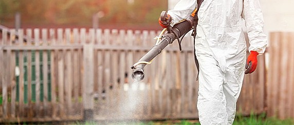 Servizio di disinfestazione aree verdi