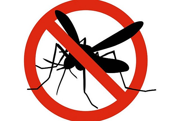 Avviso alla cittadinanza - Disinfestazione  aree verdi - Mercoledì 15 Luglio 2026 dalle ore 01.00 alle ore 06.00