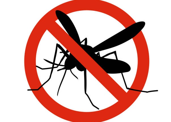 Avviso alla cittadinanza - Disinfestazione  aree verdi - Mercoledì 15 Luglio 2026 dalle ore 01.00 alle ore 06.00