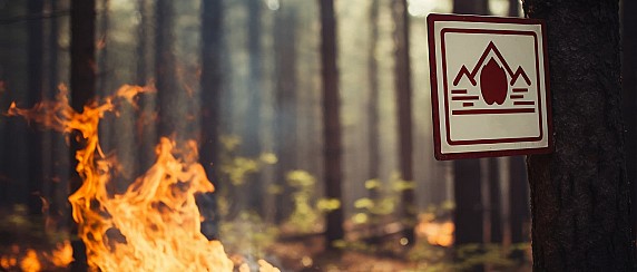 Misure di prevenzione contro gli incendi boschivi per l'estate 2026