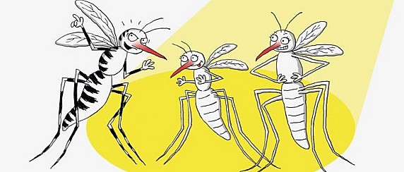 Provvedimenti per la prevenzione e controllo delle malattie da virus West Nile trasmesse da insetti vettori ed in particolare dalla zanzara Culex