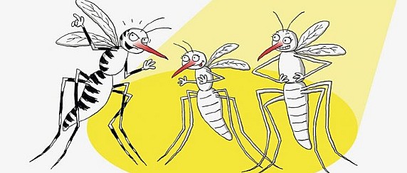 Provvedimenti per la prevenzione e controllo delle malattie da virus West Nile trasmesse da insetti vettori ed in particolare dalla zanzara Culex