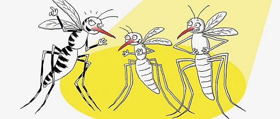 Provvedimenti per la prevenzione e controllo delle malattie da virus West Nile trasmesse da insetti vettori ed in particolare dalla zanzara Culex