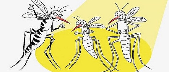 Provvedimenti per la prevenzione e controllo delle malattie da virus West Nile trasmesse da insetti vettori ed in particolare dalla zanzara Culex