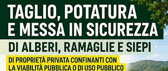 Taglio, potatura e messa in sicurezza di alberi, ramaglie e siepi di proprietà privata confinanti con la viabilità pubblica o di uso pubblico.