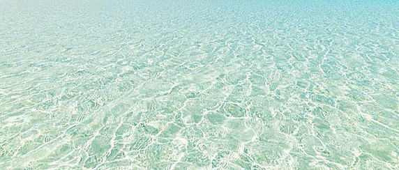 Spiaggia day 2026