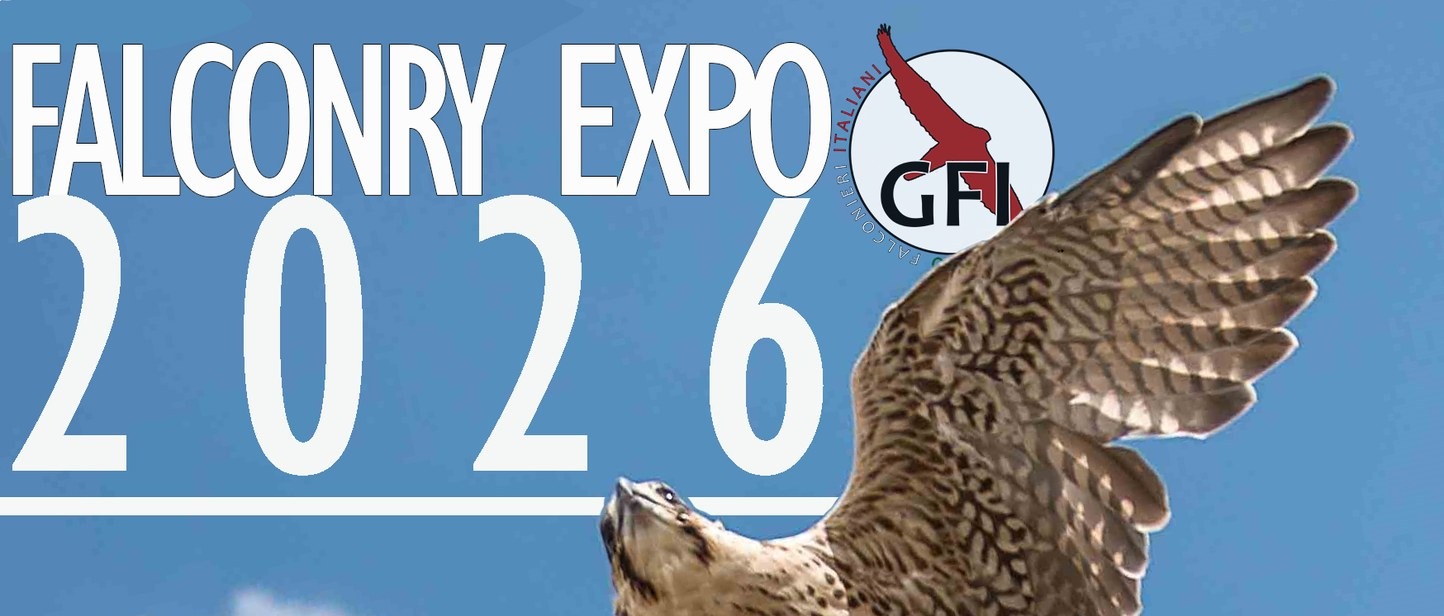Sabato 11 e domenica 12 luglio : Falconry Expo seconda edizione - presso Arena Spettacoli - Parco Baden Powell Via al Ponte. Ingresso libero.