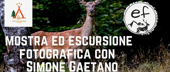 Immagine non trovata