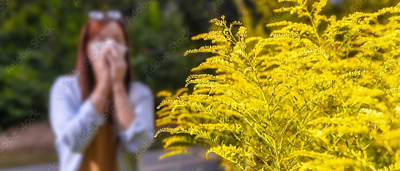 Misure di prevenzione della pollinosi da Ambrosia in Lombardia - Anno 2026