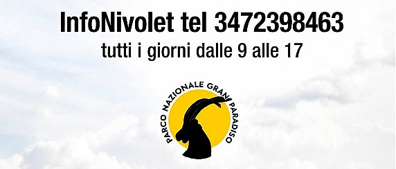Immagine non trovata