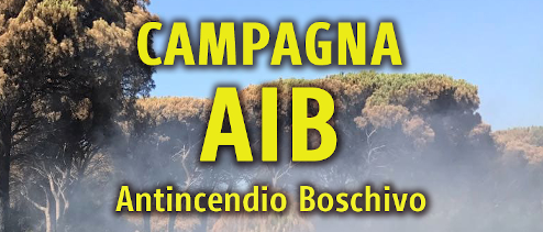 Immagine principale