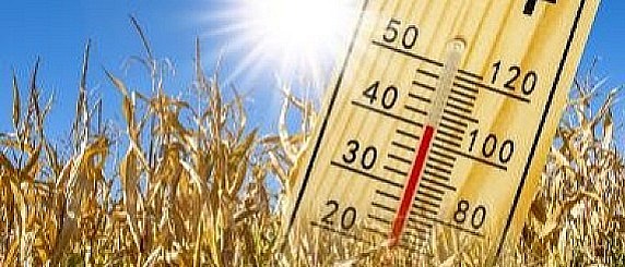 “Prevenzione degli effetti delle ondate di calore sulla salute della popolazione del territorio – ESTATE SICURA 2026”.