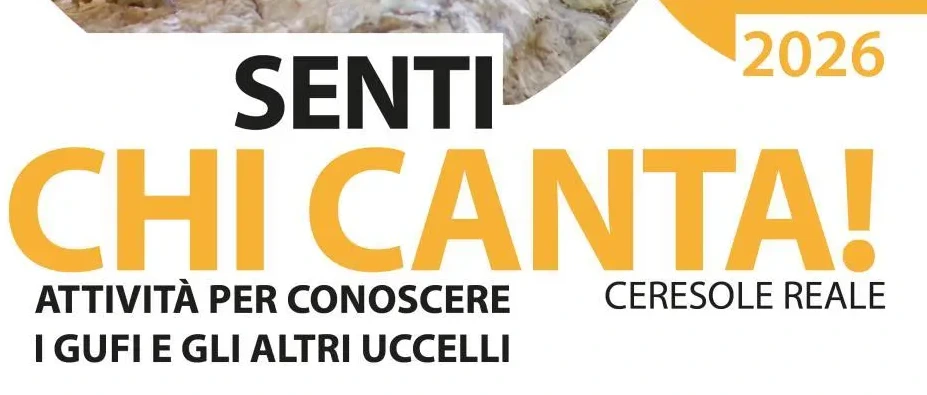 Immagine principale