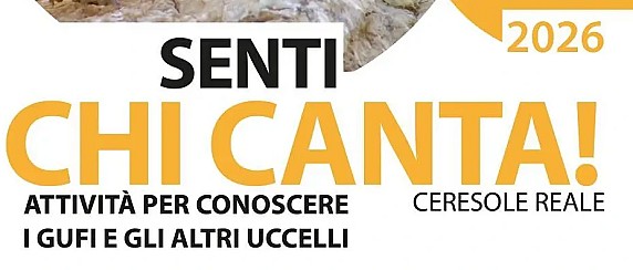 Immagine non trovata