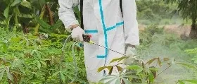 Immagine principale
