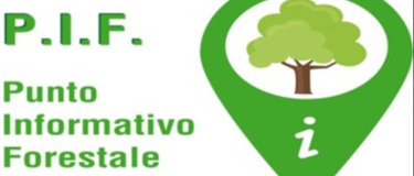 Immagine principale