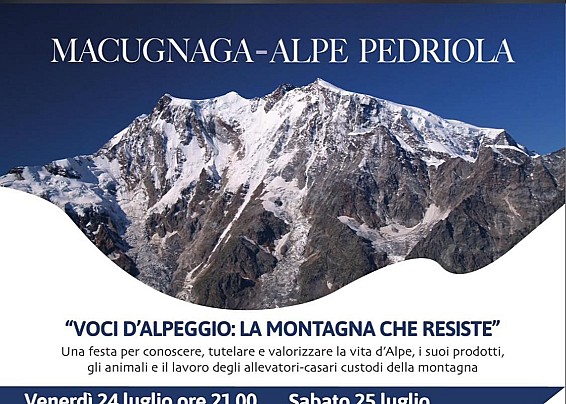 Immagine non trovata