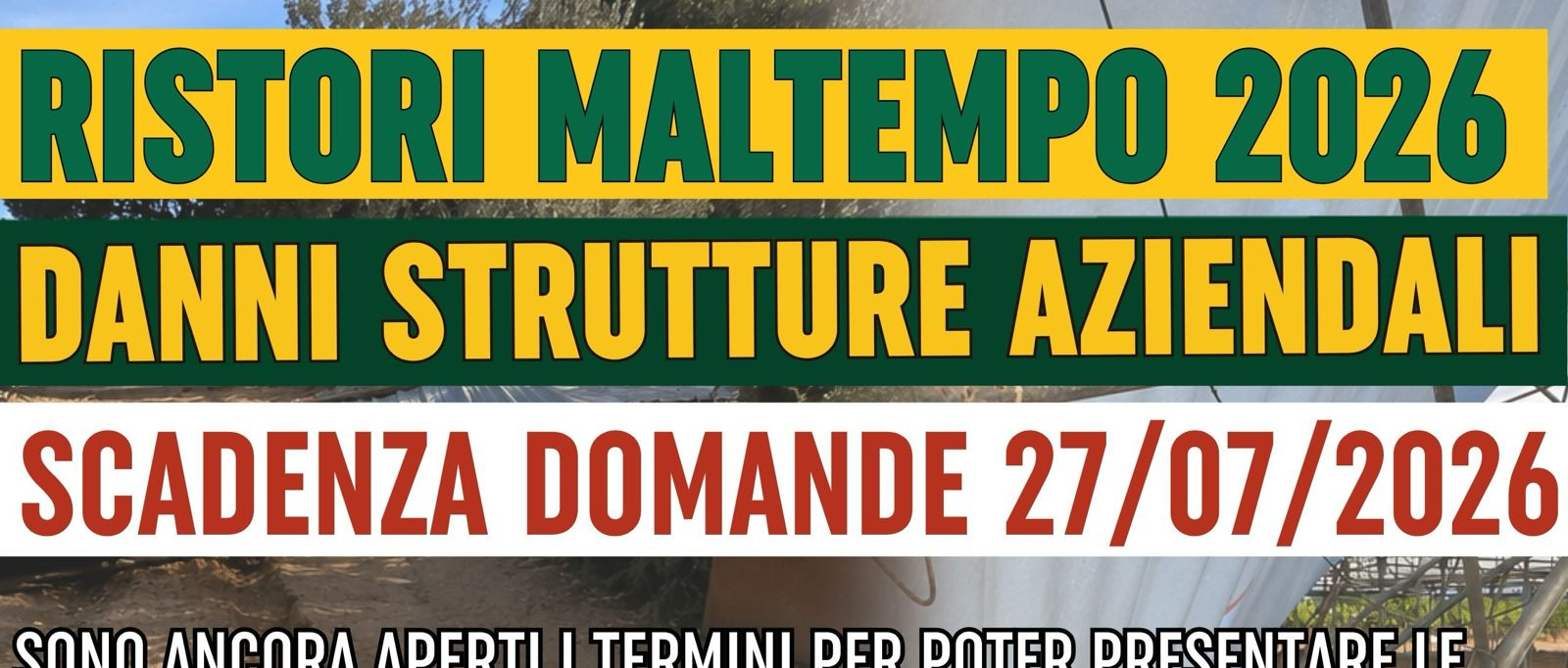 Immagine principale