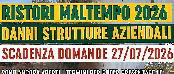 Presentazione delle domande di ristoro per i danni alle strutture aziendali causati dal maltempo che ha colpito la Sardegna tra gennaio e febbraio 2026