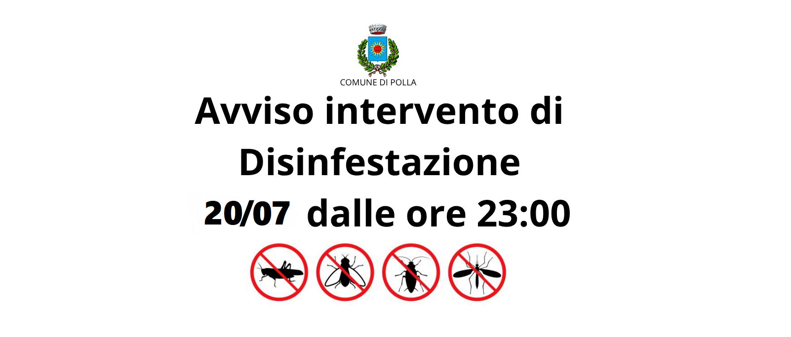 Immagine principale