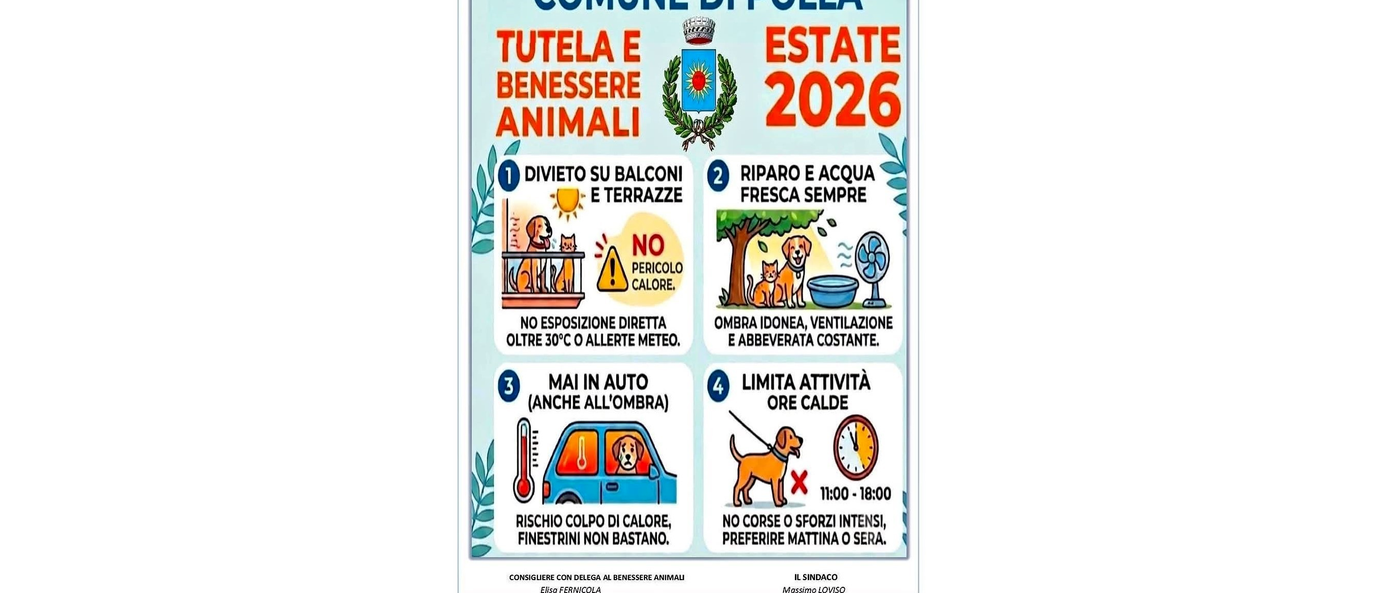 Immagine principale