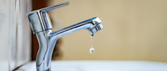Immagine principale