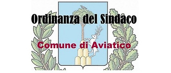 Ordinanza n. 11 del 15 Luglio 2026