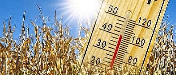 “Prevenzione degli effetti delle ondate di calore sulla salute della popolazione del territorio – ESTATE SICURA 2026”.
