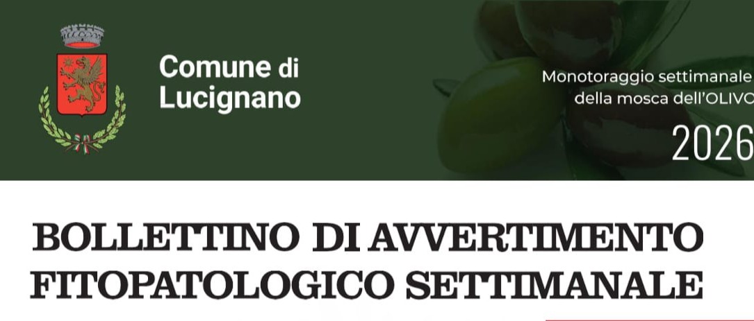 Immagine principale
