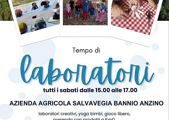 Immagine non trovata